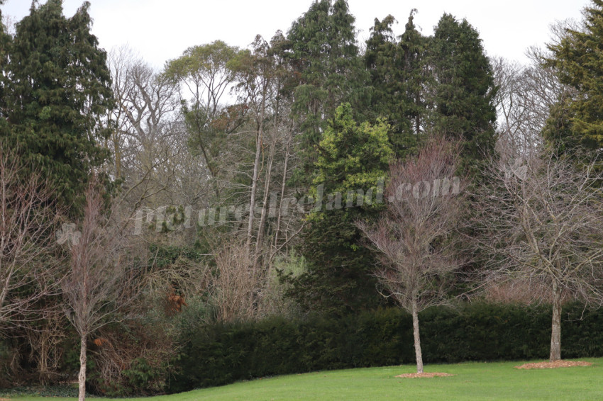 Malahide Castle Park