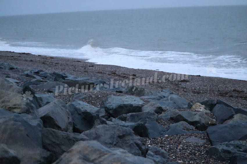 IMG 3086