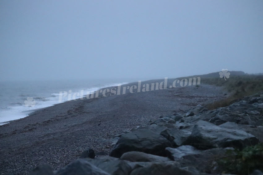 IMG 3093