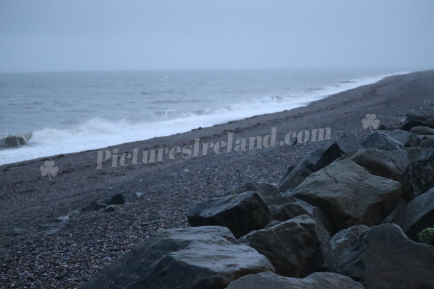 IMG 3094