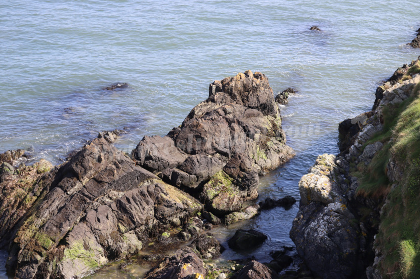 Bray Head 1