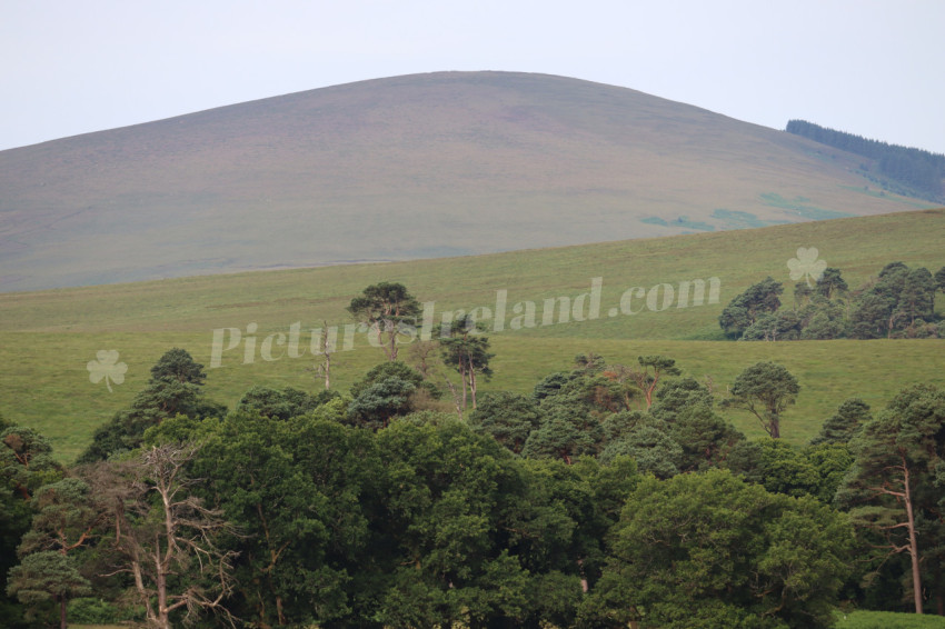 Irish Mountains 6