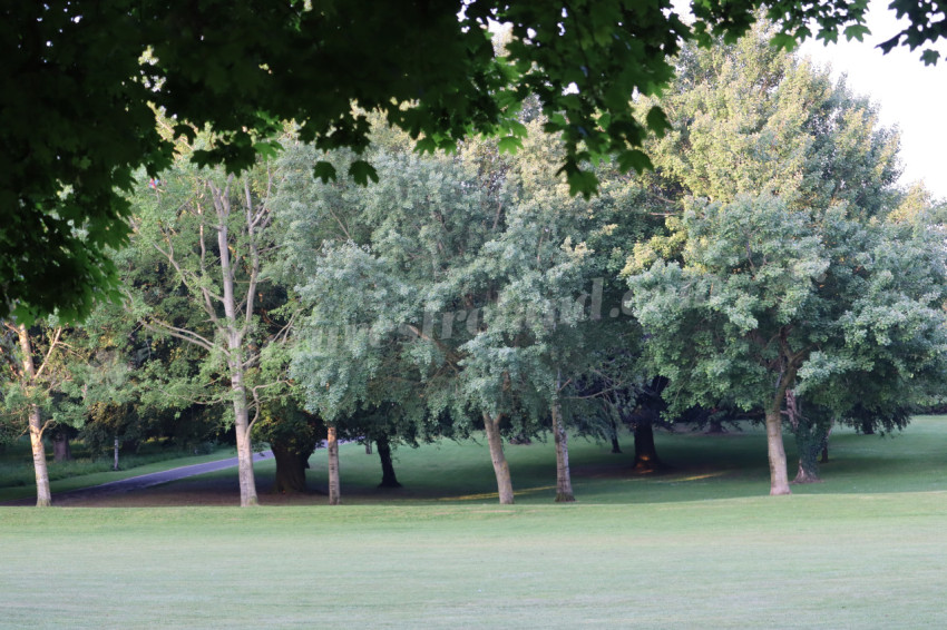 Memorial Park 4