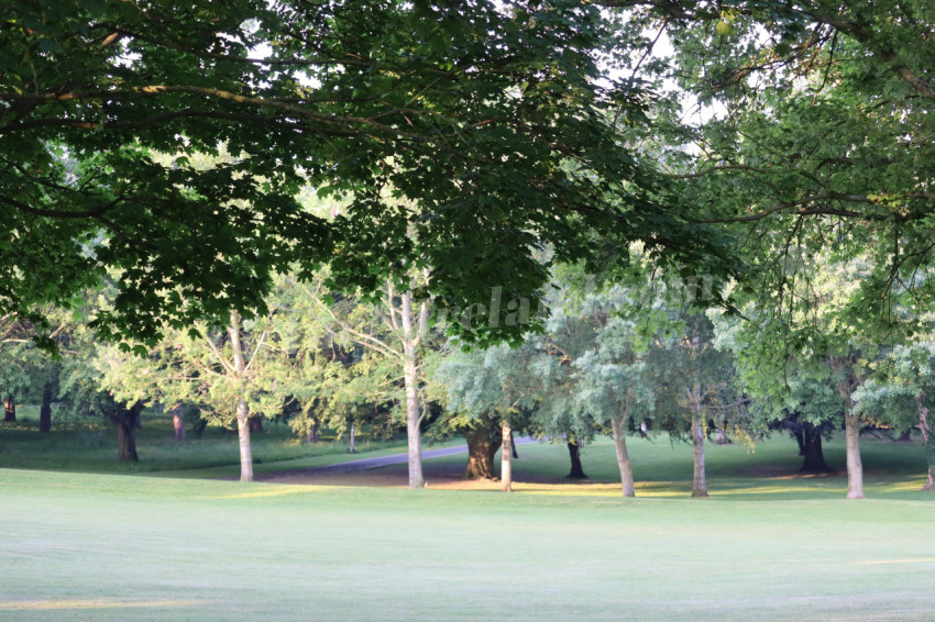 Memorial Park 8