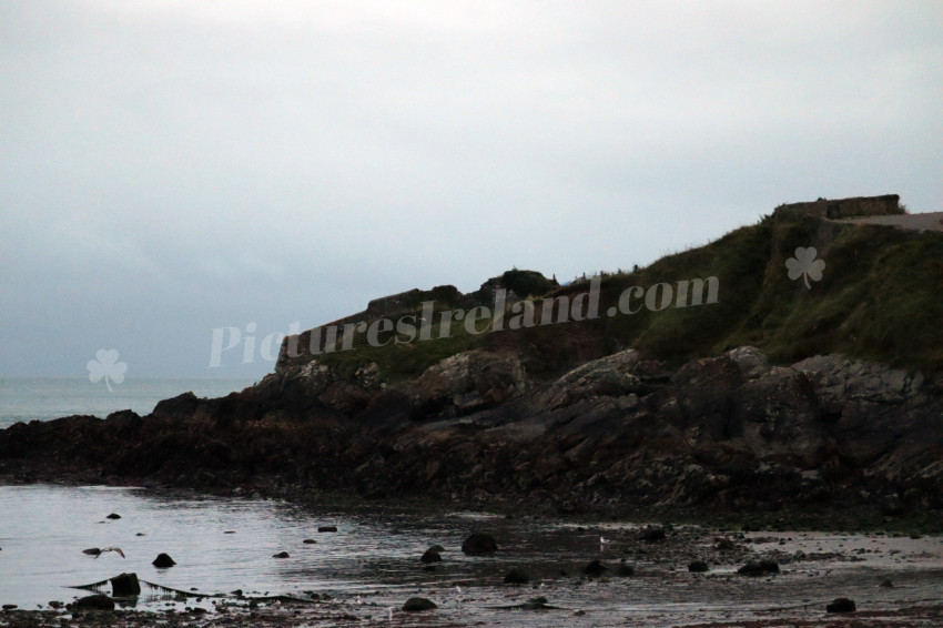 Morning in Bray