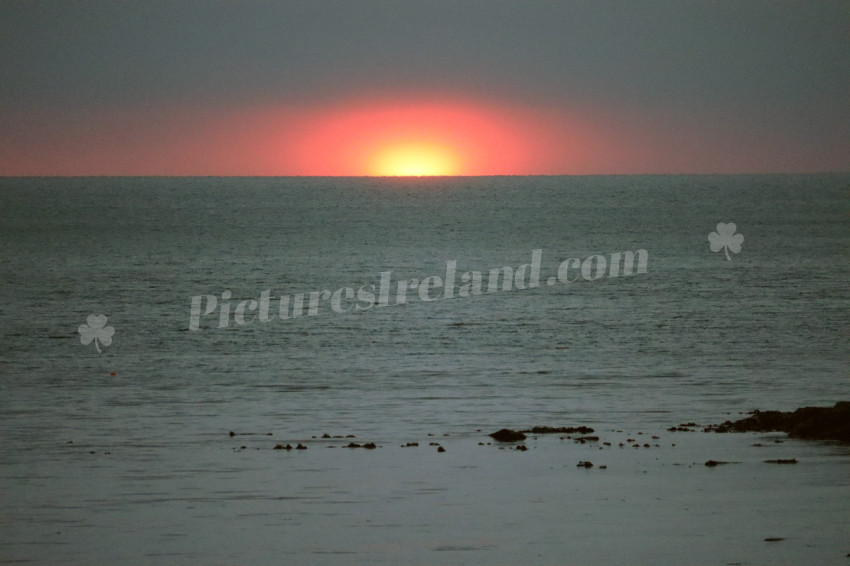 Morning in Bray