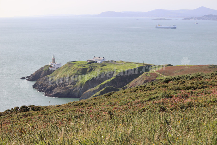 Cliff walks in Howth
