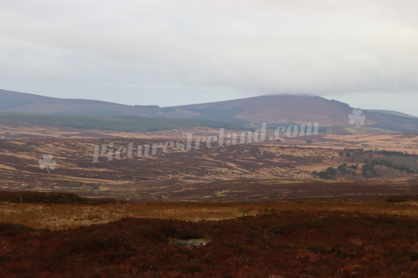 Wicklow Mountains Ireland