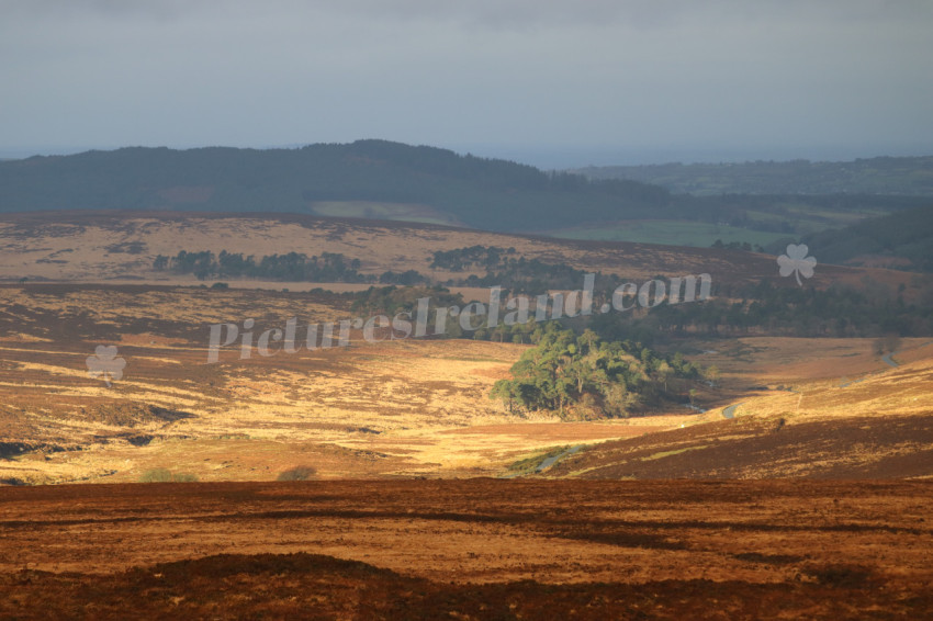 Wicklow Mountains Ireland