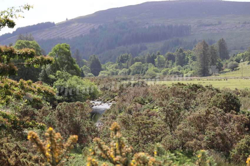 Wicklow Mountains Ireland