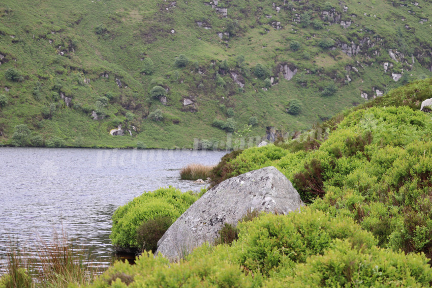 Wicklow Mountains Ireland