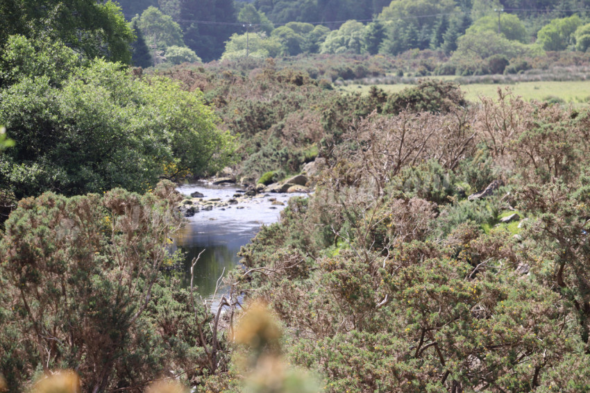 Wicklow Mountains Ireland