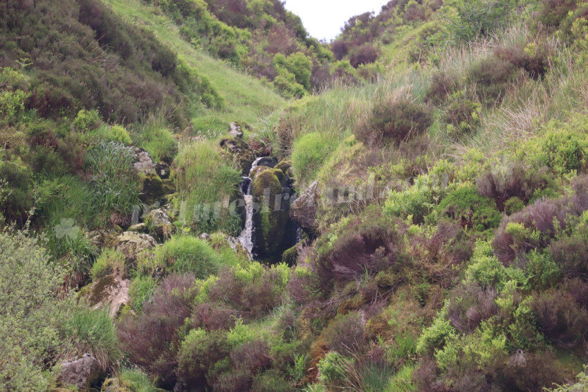 Wicklow Mountains Ireland
