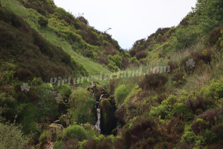 Wicklow Mountains Ireland