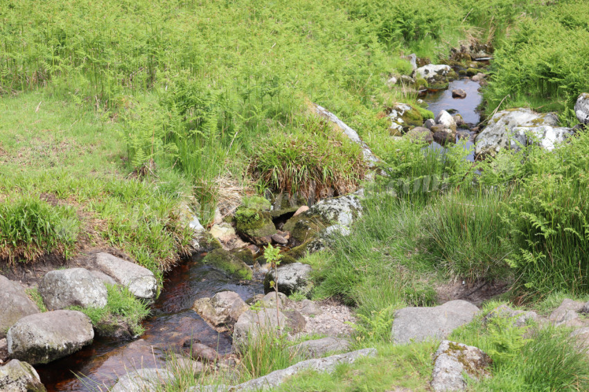 Wicklow Mountains Ireland